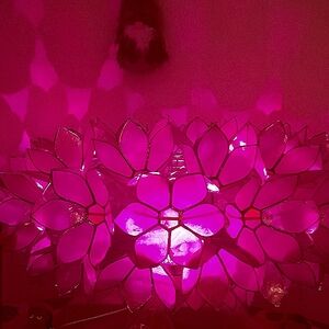 5 mode, 15 color lamp.